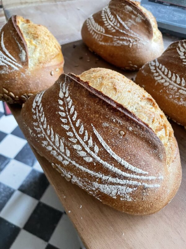 brot 7