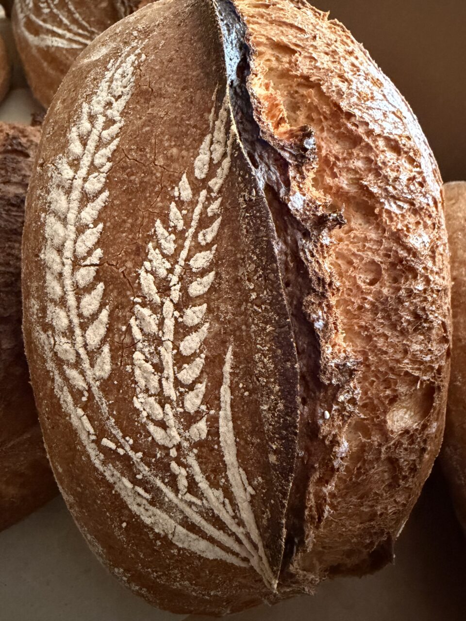 Nr7 brot